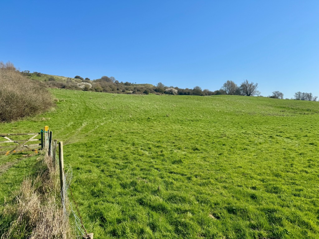 Lot: 108 - ALMOST 22 ACRES OF FREEHOLD LAND - View of the land alternative 2